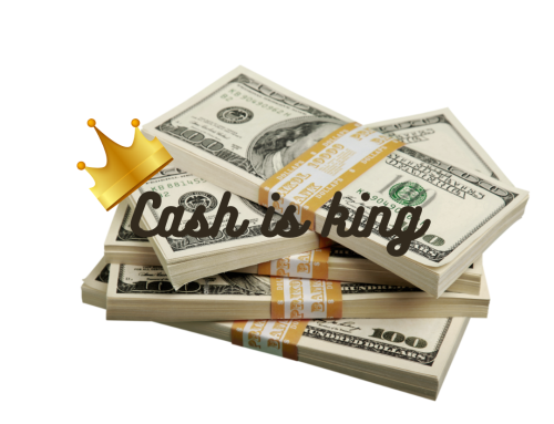 Revenue is Vanity, Profit is Sanity, but Cash is King